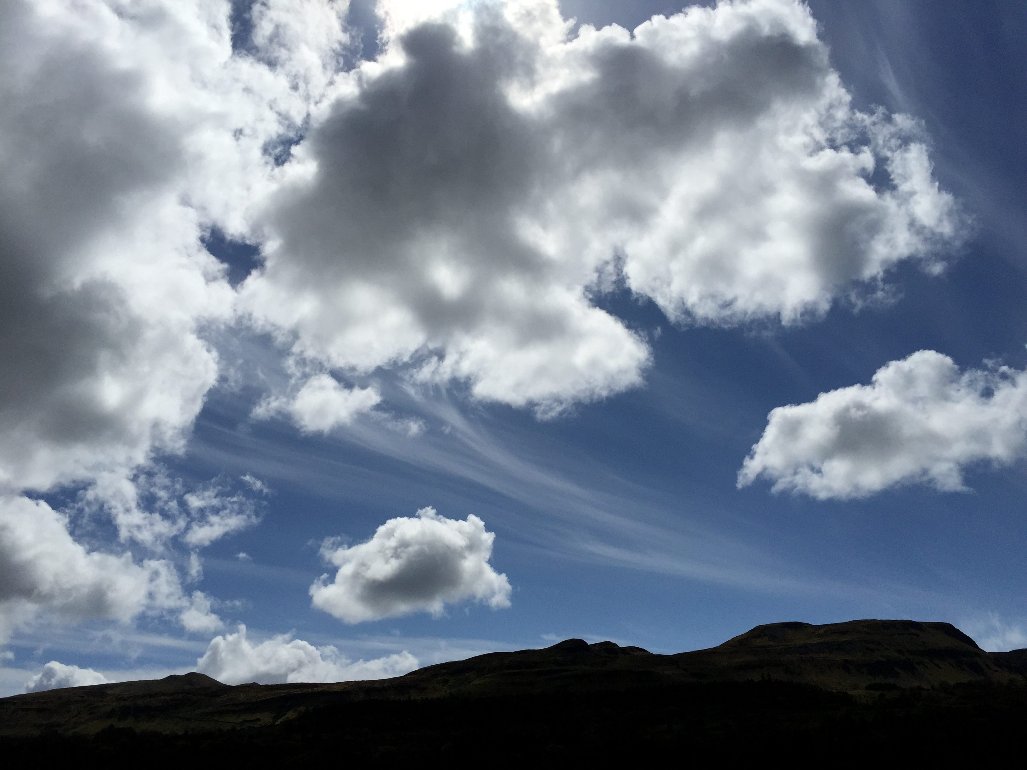 My Scottish Adventure With Ewe